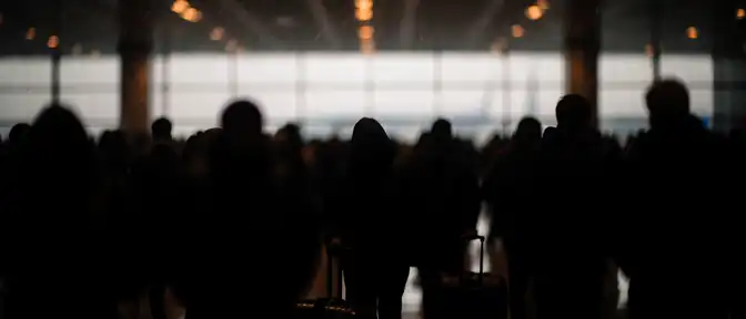 Непогода и логистика: почему пассажиры «Turkish Airlines» застряли во Внуково