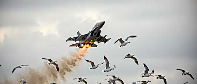 Неопознанная цель в небе над Вильнюсом: из-за птичьей стаи в Литве подняли истребители НАТО